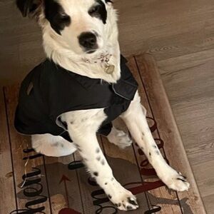 FabDog fleece water resistant coat, size 16